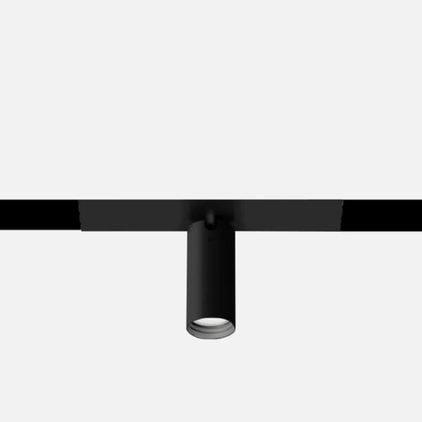 File 2 sistema - Spot Focus 55S, modulo